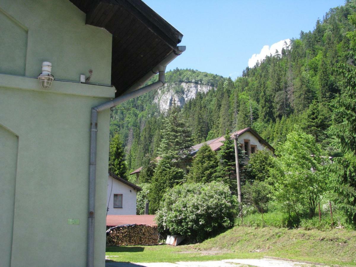 Penzion Borovica Stratená Extérieur photo